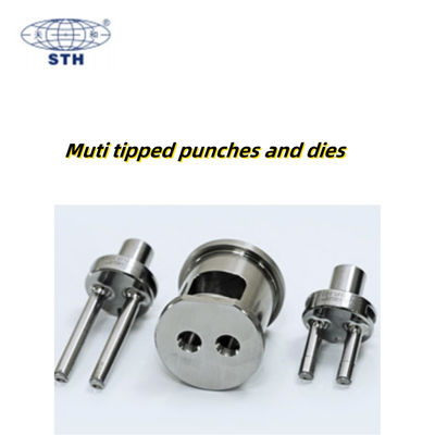 TIANHE Muti Tipped High Capacity Punch and Die Coating Chrome Pharmactical pemasok