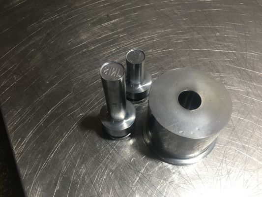 TIANHE Customized Multi-head mould/Punches & dies/Material S7 Hard Chrome pemasok