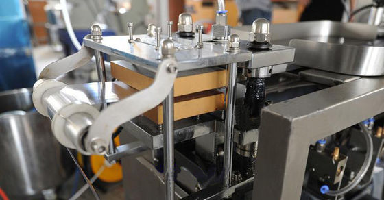 TIANHE High Speed Medical Packing Automatic Syringe Blister Packaging Machine Mesin Pengemasan Blister pemasok